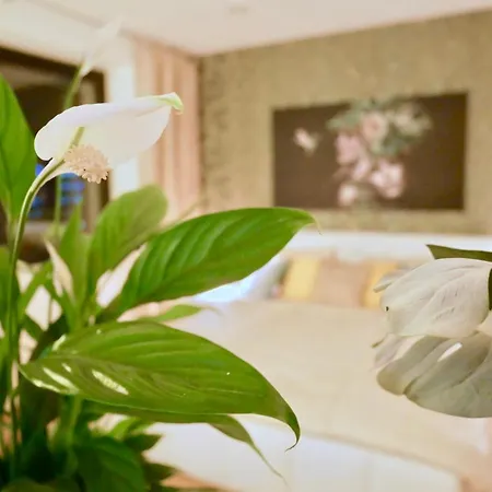 Skylounge City-apartments * 인스브루크